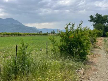 Dalyan''da Merkeze Yakın 2,528M2 Satılık Tarla