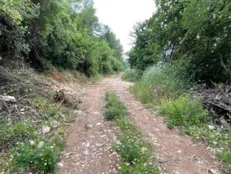 Dalyan''da Merkeze Yakın 2,528M2 Satılık Tarla