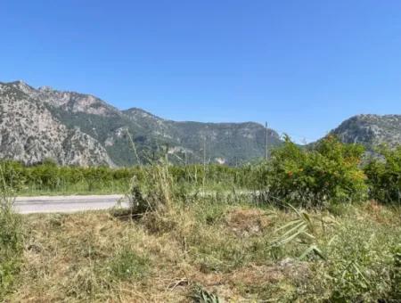 Dalyan'da İztuzu Yoluna Sıfır 6,500M2 Satılık Tarla